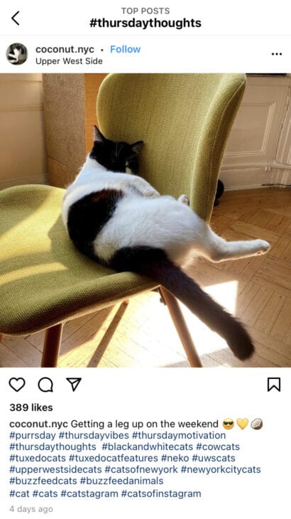 The Best Instagram Hashtags To Use Each Day of the Week Thursday Thoughts - Best Thursday Instagram Hashtags