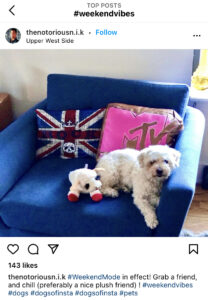 The 30 Best Friday Hashtags to Use on Social Media